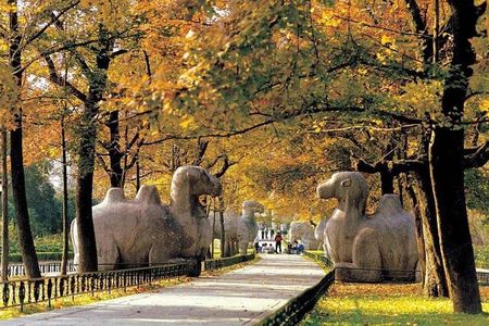 Nanjing Ancient Impression Private Day Tour with Lunch