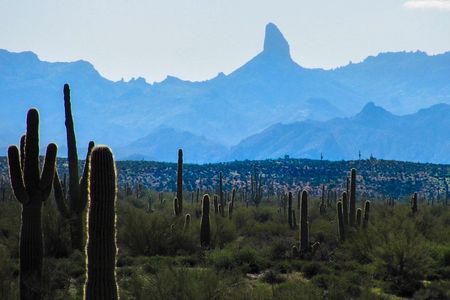 Wilderness Hiking Tours