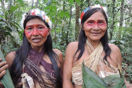 4-Days Private Huaorani Amazon Adventure