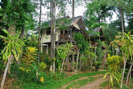 2-Day Khao Sok Jungle Safari from Krabi