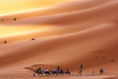 Desert Tour Marrakech Merzouga 3 days / 2 nights
