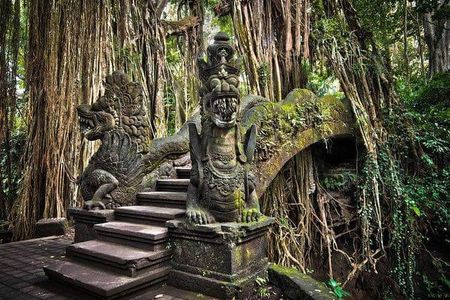 Bali : Full Day Traditional Village & Sightseeing 