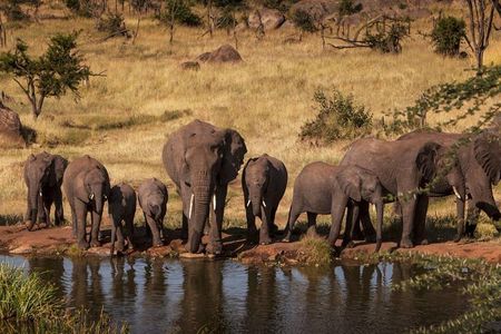 2-Days Safari Tarangire Park and Ngorongoro Crater