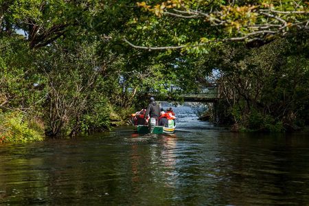 Gap of Dunloe Tour (Boat & Bus)