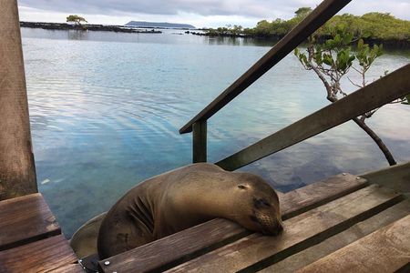 6-Day Galapagos Island Hopping: Kayaking, Mountain Biking and Volcano Hike