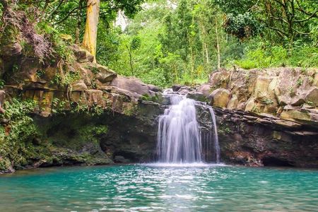 Waterfall & Rainforest Hiking Adventure with Hotel Pickup