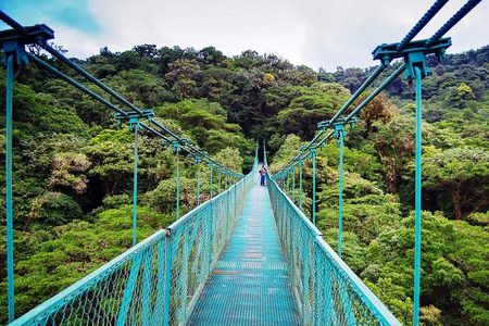 Monteverde Hanging Bridges Day Trip from San Jose