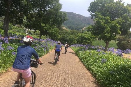 Constantia Hidden Gem Cycle Full Day - Private Tour