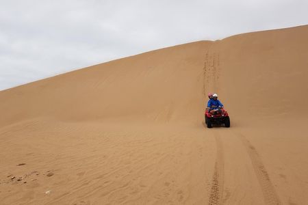Quad day with south Essaouira meal 6h(free transfer)