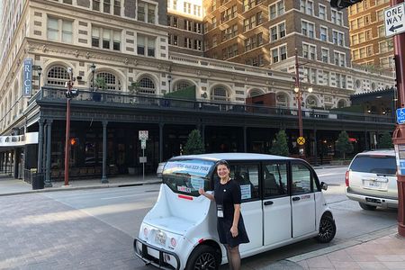 Private Sightseeing Cart Tour of Houston