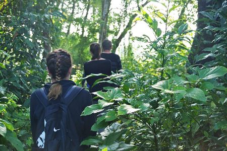 Chitwan National Park Jungle Safari Tour Package from Kathmandu