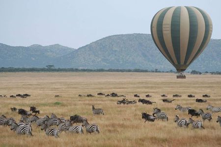 4 Days Kenya Safari