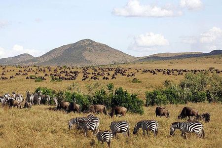 3 Days Maasai Mara Luxury Camping