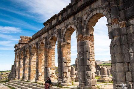 Day trip to Volubilis and Meknes from Fez
