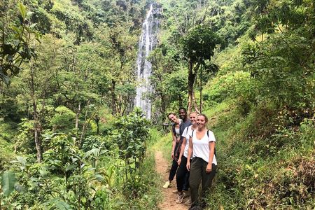 Materuni Waterfalls 