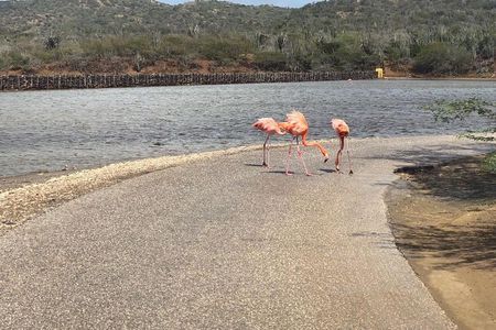 North Tour with Local Guide 