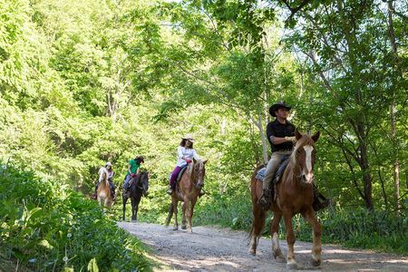 Horseback-Riding in a Country Side in Sapporo - Private Transfer is Included