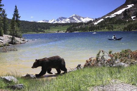 Yosemite and Giant Sequoias Day Trip