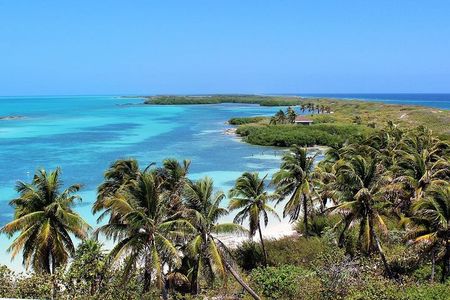 Isla Contoy & Isla Mujeres Tour from Cancun & Playa Del Carmen