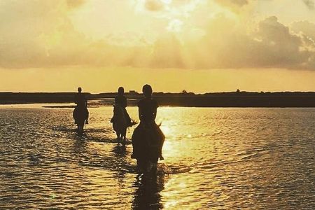 Discovery ride on horseback or camel 2h30