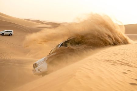 Abu Dhabi Morning Desert Safari