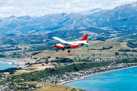 Air Whale Watching in Kaikoura