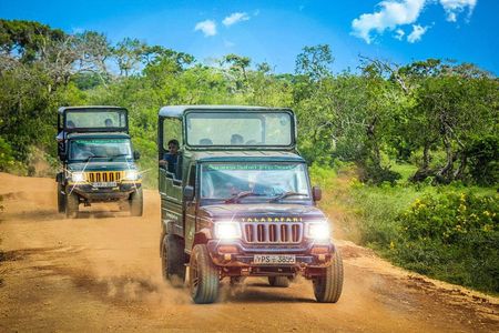 2 days yala National Park From Colombo with of Jeep Safari 