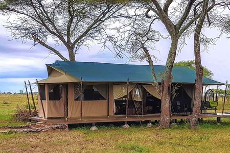 5 Days Tanzania Tented Camp Safari