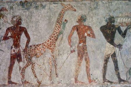 Luxor West Bank full day Private Tour