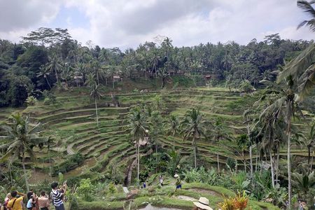 Ubud, Kintamani Volcanos Bali tour