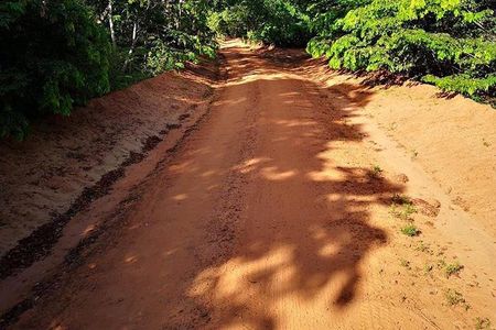 Shimba Hills Excursion