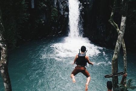 Sekumpul waterfall & aling2 waterfall with private service (including activity)