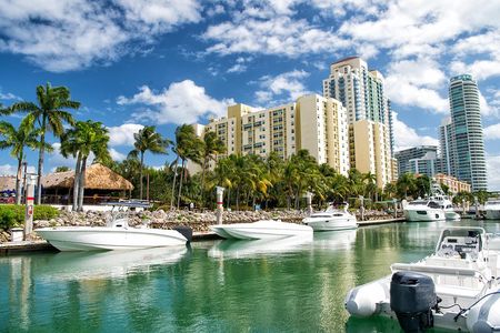 Florida Everglades Airboat Adventure plus Miami Biscayne Bay Cruise