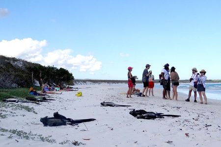 Ecuadorian Experience Quito - Galápagos 8 DAYS 7 NIGHTS