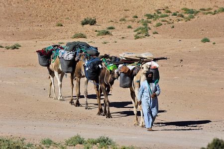4 Days Hiking To Desert