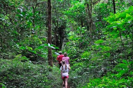 Sinharaja Trekking Day Trip - Private & All Inclusive
