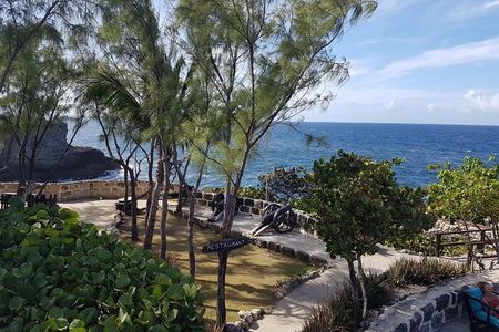Barbados Half Day Private Tour