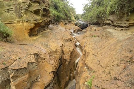 Day tour to Hells Gate Park and Lake Naivasha