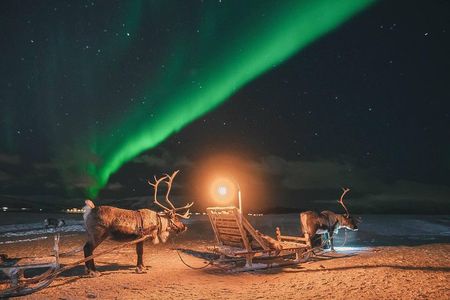 Night Reindeer Sledding with Camp Dinner and Chance of Northern Lights