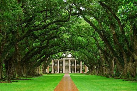 Oak Alley Plantation Half-Day Tour from New Orleans