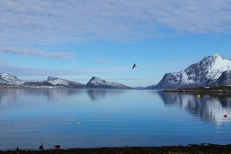 Fjord, Mountain and Wildlife Tour 