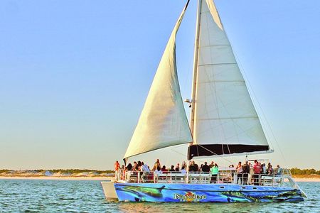 Shell Island & Dolphin Watch Sailing Cruise 