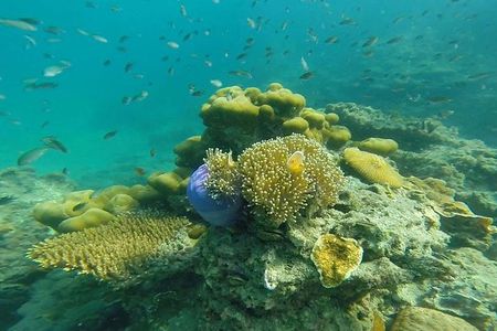 Oneday Tour 4 Islands and Emerald Cave By Tin Adventure Sea Tour from Koh Lanta