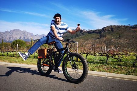 Franschhoek E-Bike Wine Tour (Half Day)