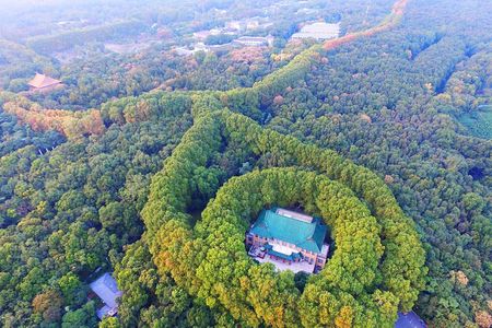 All-Inclusive Nanjing Purple Mountain Scenic Area Private Day Tour