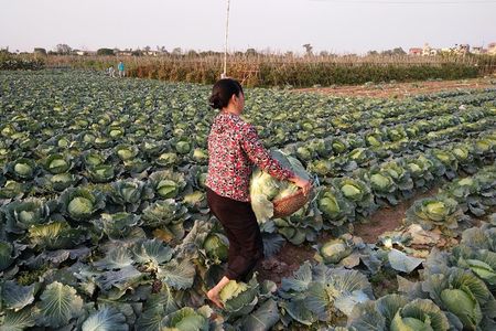 Farm tour & Home cooking class with local family in Hanoi