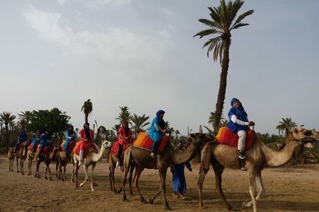 Camel Ride & Quad Bike tours in the palm grove of Marrakech