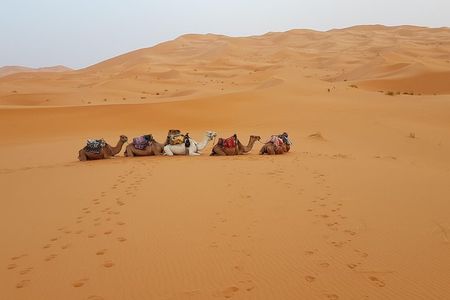 4 Days Desert tours from Marrakech