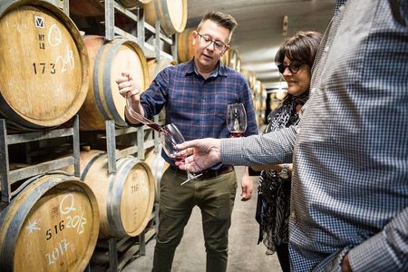 Yarra Valley Wine & Wildlife - Private Regional Tour