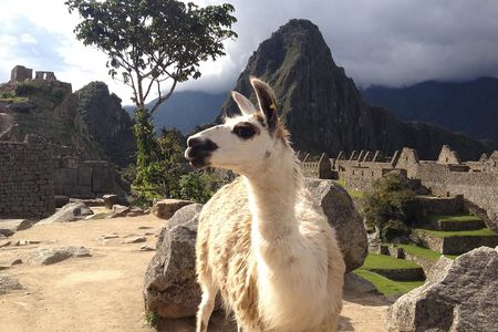 2 Day Sacred Valley Tour & Machu Picchu
